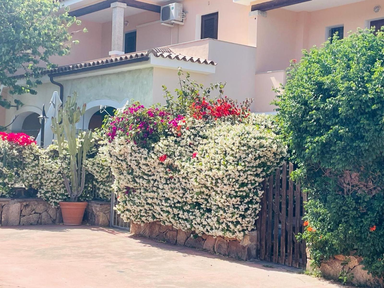 Appartamento Le Querce Vaccileddi ภายนอก รูปภาพ